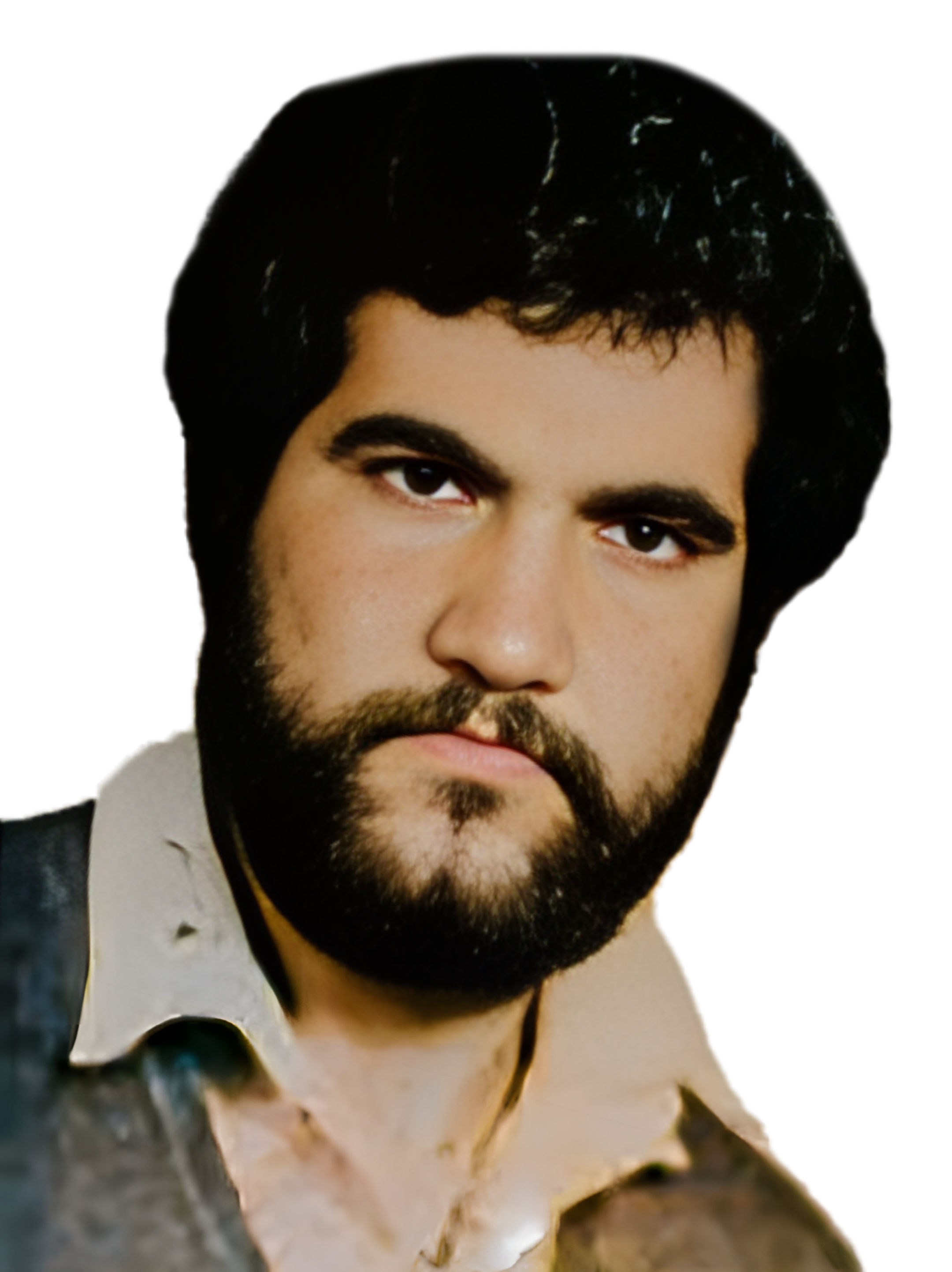 تصویر شهید